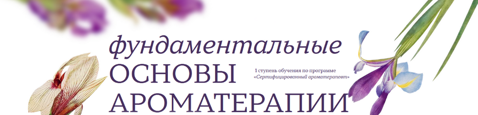 слив [Джейд Шутс] [Aromatic Studies] Фундаментальные основы ароматерапии. 1 ступень (2024)