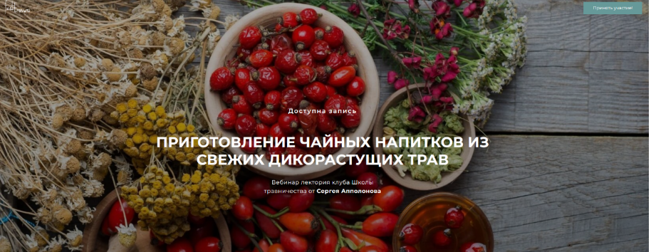 слив [Сергей Апполонов] Приготовление чайных напитков из свежих дикорастущих трав (2024)