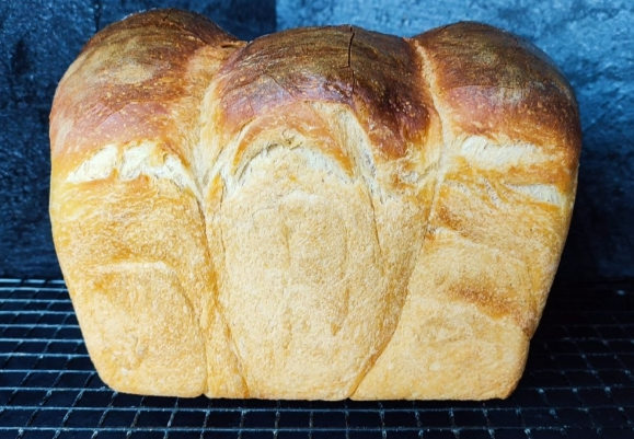 [Мой хлеб] Светлана Кучерявая ― Большой пшеничный курс (2023)